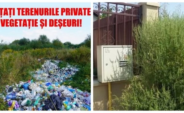 Avertismentul Primăriei Mioveni: Terenurile neîngrijite pot aduce amenzi!