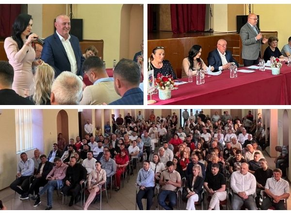 Nicolae Velcea, reales la conducerea PSD Ștefănești: „Continuăm să construim o organizație puternică și unită”
