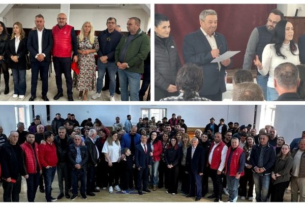 Primari performanți, confirmați la conducerea organizațiilor locale PSD din Davidești, Vulturești, Hârtiești, Boteni, Cetățeni, Stoenești, Valea Mare Pravăț și Lerești!