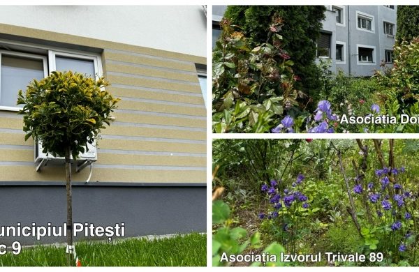 Cine a câștigat concursul „Cea mai frumoasă și cea mai curată asociație de proprietari din municipiul Pitești”, ediția 2026