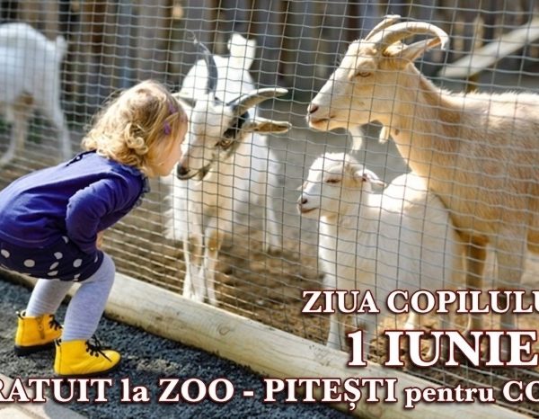 De 1 Iunie, acces gratuit, pentru copii, la Zoo Pitești