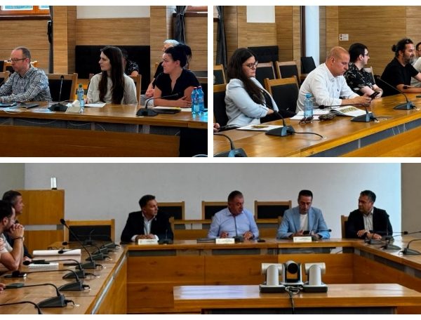 Primăria Pitești. Dezbaterea publică pentru concursul internațional de soluții „Zona Centrală Pitești”