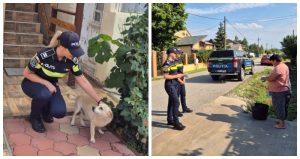Poliția avertizează: Animalele lăsate fără apă și umbră, în plină caniculă, pot aduce amenzi de până la 12.000 de lei