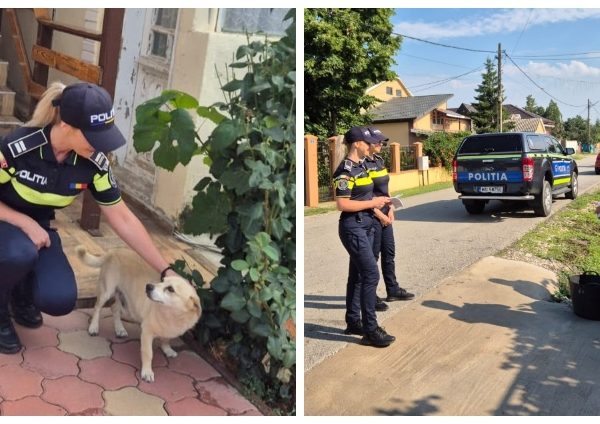 Poliția avertizează: Animalele lăsate fără apă și umbră, în plină caniculă, pot aduce amenzi de până la 12.000 de lei