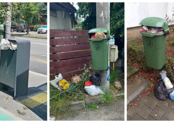 Pungi cu gunoi menajer, găsite zilnic în coșurile stradale din Pitești. Atenție, se dau amenzi!