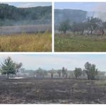 Zi de foc pentru pompierii argeșeni: șase incendii, în doar câteva ore