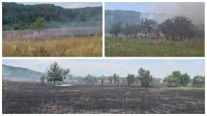 Zi de foc pentru pompierii argeșeni: șase incendii, în doar câteva ore
