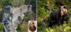 Urs la Cetatea Poienari. Turiștii pot urca în continuare, dar numai în grupuri organizate