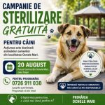 Primarul Remus Sasu: Campanie gratuită de sterilizare a câinilor în Ocnele Mari