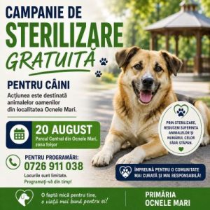 Primarul Remus Sasu: Campanie gratuită de sterilizare a câinilor în Ocnele Mari