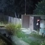 Doi tineri de 16 și 18 ani, răniți grav într-un accident rutier