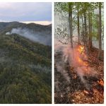 VIDEO. Incendiul de pădure de la Băile Olănești, în a patra zi. Focul a afectat&hellip;