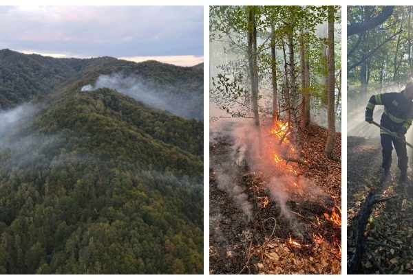 VIDEO. Incendiul de pădure de la Băile Olănești, în a patra zi. Focul a afectat 27 de hectare