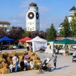 Sărbătoarea Recoltei revine la Mioveni! Înscrierile continuă până pe 30 septembrie!