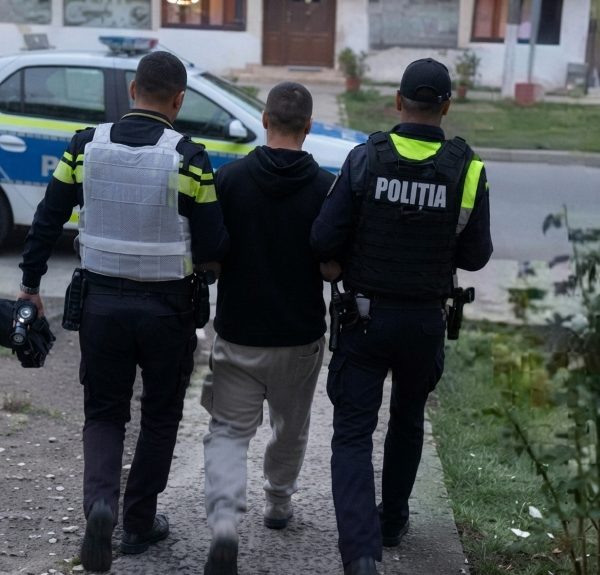 Reținut după ce a atacat o mașină cu un motofierăstrău și l-a amenințat pe șofer