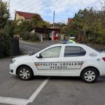 Poliția Locală Pitești a propus 38 de măsuri pentru circulație. Câte au fost aprobate