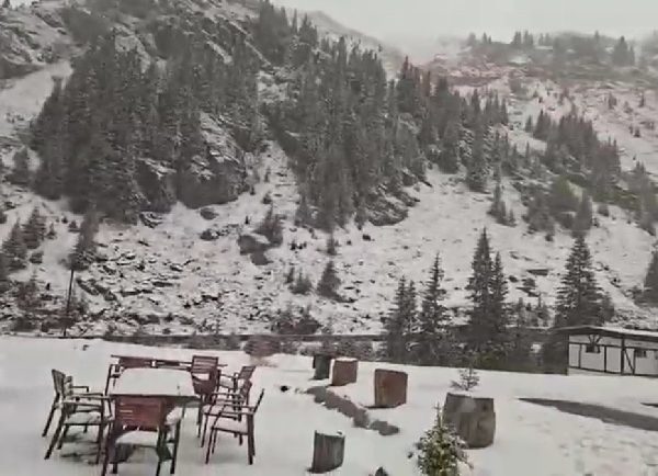 VIDEO. Ninge pe Transfăgărășan, la peste 1.600 de metri! Avertisment pentru șoferi și turiști