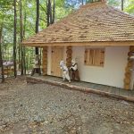 Primarul Florinel Constantinescu anunță că proiectul Pădurea-Parc din Călimănești este aproape de finalizare
