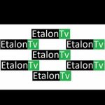În chestiunea ”Etalon TV” este vorba despre onoare, domnule Vicențiu Mocanu